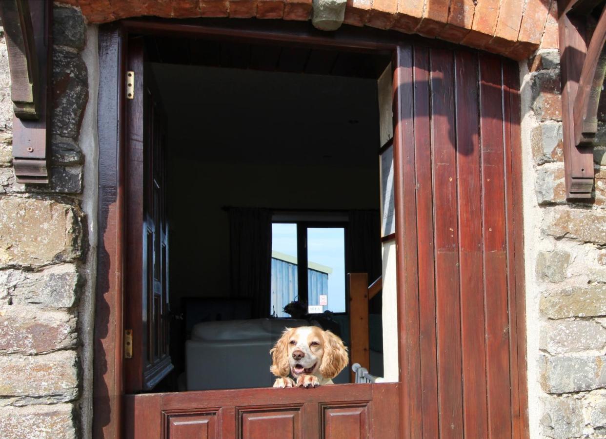 Houndapitt Cottages Bude Kültér fotó